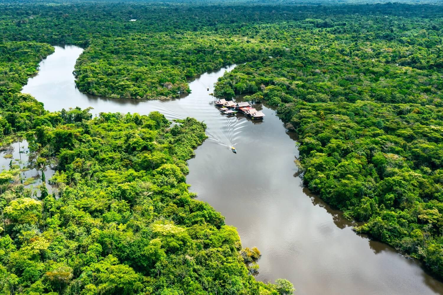 Vista aérea de un río que atraviesa el bosque amazónico